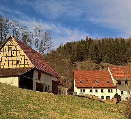 Mühlenchalet Gundershofen Exterior foto